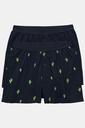 837629 - Boxers FLEXNAMIC®, lot de 2